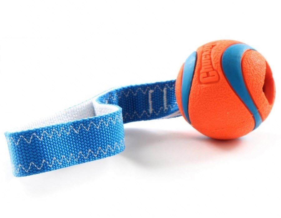 Chuckit Ultra Tug 1