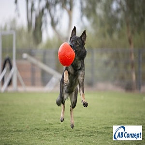 Jolly-Soccer-Ball.wm