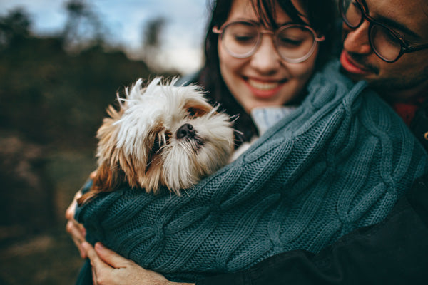 Har du også fået hund under corona? Hundesalget er eksploderet