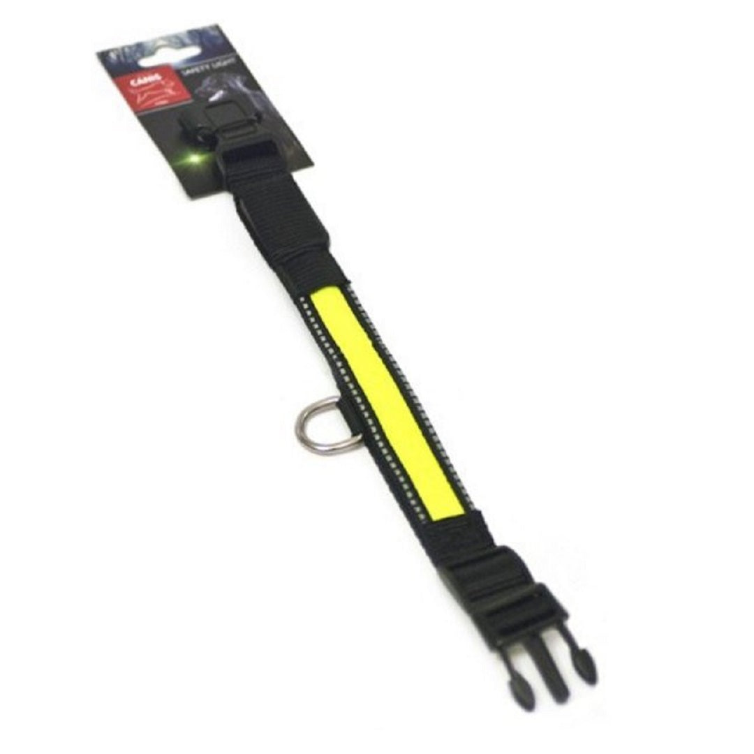Active Canis LED