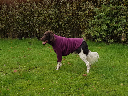 Dog Jumper HotterDog