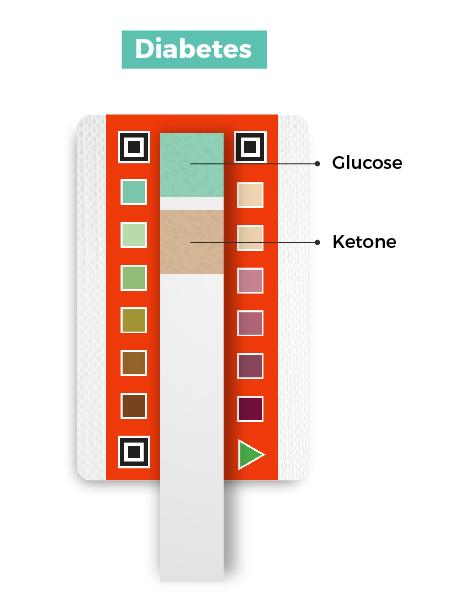 petnostics-diabetes